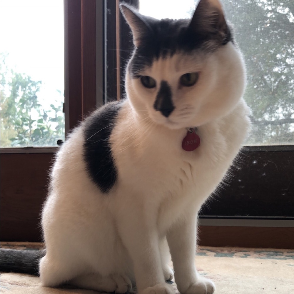 Meet your Posher, Anmerlyn